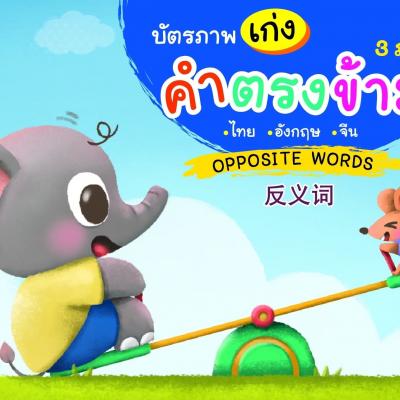 PLAN FOR KIDS เฮลโลคิดส์ บัตรภาพ เก่งคำตรงข้าม 3 ภาษา (ไทย-อังกฤษ-จีน)