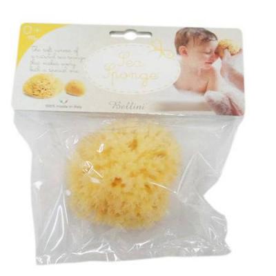 BELLINI SPONGE ฟองน้ำธรรมชาติ Honeycomb No.12 (ลด 20% เฉพาะวันที่ 1-30 ก.ย. 2566 เท่านั้น)