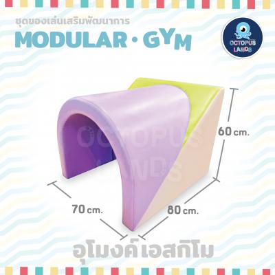 OCTOPUS บันไดอุโมงก์เอสกิโม (ค่าจัดส่งพร้อมติดตั้งในกทม. 1,000 บาท / ตจว. ค่าจัดส่งเอกชนชิ้นละ 300 บาท) >> ยกเลิกขาย