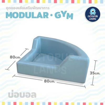 OCTOPUS บ่อบอล (ค่าจัดส่งพร้อมติดตั้งในกทม. 1,000 บาท / ตจว. ค่าจัดส่งเอกชนชิ้นละ 300 บาท) >> ยกเลิกขาย