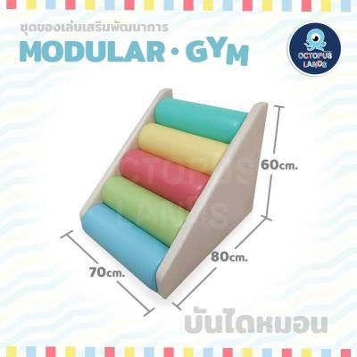 OCTOPUS บันไดหมอน (ค่าจัดส่งพร้อมติดตั้งในกทม. 1,000 บาท / ตจว. ค่าจัดส่งเอกชนชิ้นละ 300 บาท) >> ยกเลิกขาย